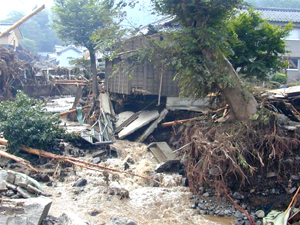 党地区委員会にメールで送られてきた画像です。川がはんらんし、樹木や家屋が破壊された様子がよくわかります。