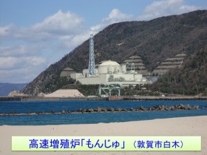 日本原子力研究開発機構の高速増殖炉「もんじゅ」（福井県敦賀市）