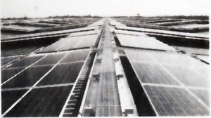 インド・パンジャブ州にある太陽光発電施設（インド再生可能エネルギー 省のウェブサイトから） 